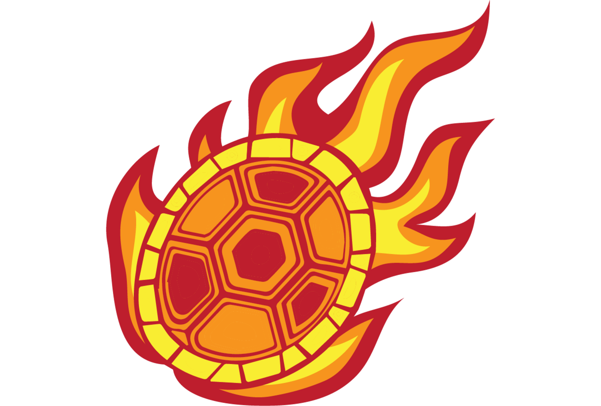 FireBallTurtle